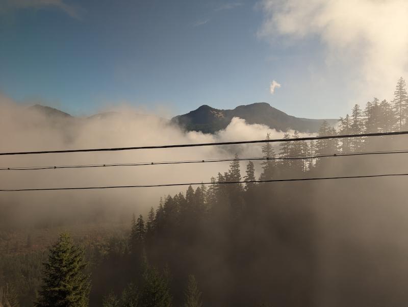 A view, from above, of fog settling into the valley of the Oregon forest