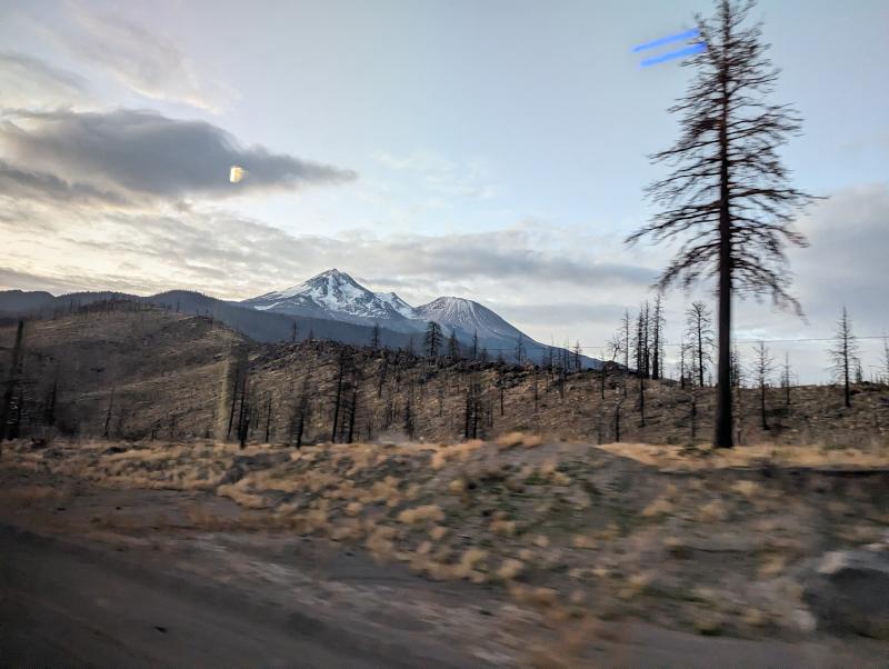 Mount Shasta just after sunrise.